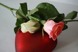 heart-71449_1280 Rose